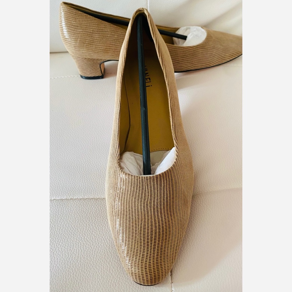 Vaneli pumps